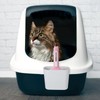 Mipcase Cat Litter Scoop Holder Plastic Cat Litter Poop Sifter