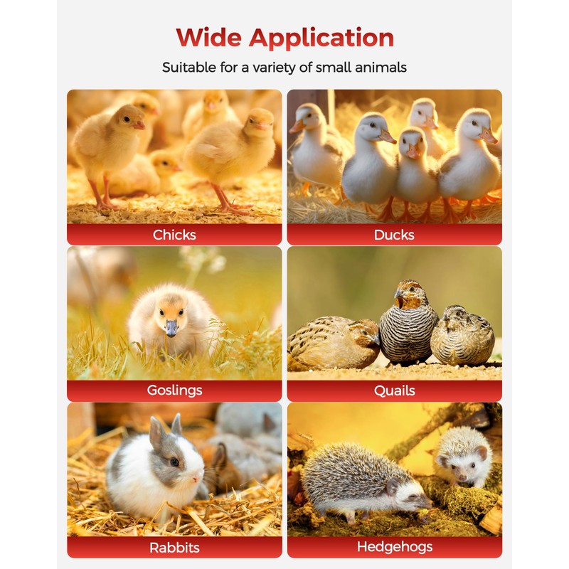 Besly Brooder Box for Chick, Large Brooder for 15 Chicks,