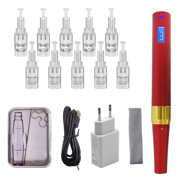 Derm pen Microneedling Machine For Makeup Tool with 10pcs 0.25mm