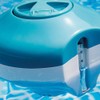 2 In 1 Floating Swimming Pool Chlorine Dispenser And Thermometer