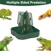 Chameleon Feeder Bearded Dragon Feeder for Mounted Insect with Rope