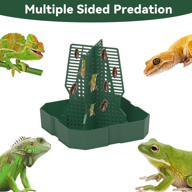 Chameleon Feeder Bearded Dragon Feeder for Mounted Insect with Rope