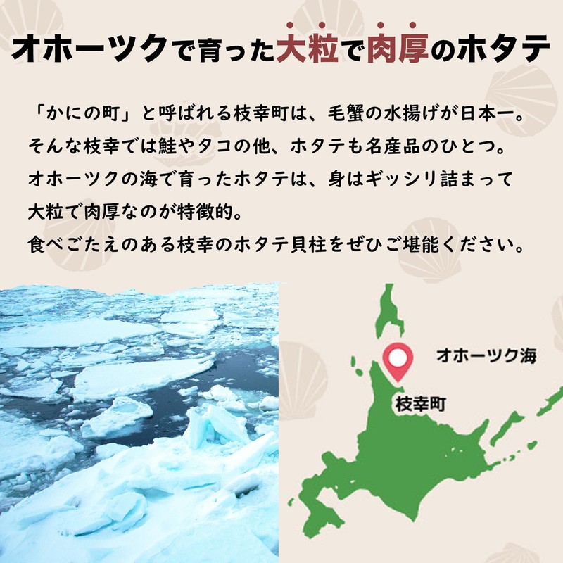 北海道産 乾燥 ほたて 割れ 干し 貝柱 200g 珍味 干し貝柱 業務用