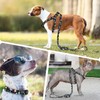 QQPETS Dog Harness Collar Leash - No Pull Pet Adjustable