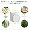 Vplus 350 Pack Paper Plates 7 inch 100% Compostable Plates