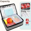 FlowFly Small Insulated Lunch box Portable Soft Bag Mini Cooler