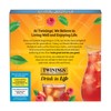 Twinings Strawberry Raspberry Herbal Iced Tea 72 Bags Caffeine Free