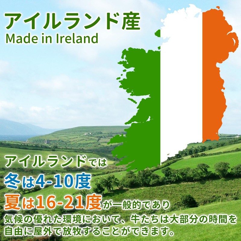 NICHIGA(ニチガ) GRASS FED WPI instant ホエイプロテイン 500ｇ〔rBGH and rBST牛成長ホルモン不使用〕GMO-Free グラスフェッド