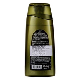 Dalan d’Olive Color Protection Shampoo (250ml)
