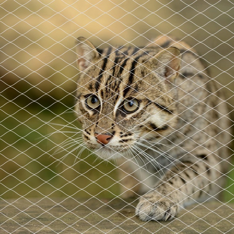 Cat Balcony Net, Anti-Fall Pet Safety Fence - Transparent Nylon
