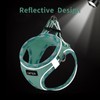 AMTOR Small Dog Harness with Leash Set, No Escape Easy
