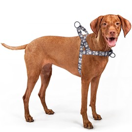 haoyueer No Pull Dog Harness for Easy Walk, Floral Pattern Female Safety Nylon Training Collar for Puppy Small, Medium, and Large Dogs (Daisy, L)