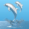 O meta[l]morphose METALMORPHOSE MTM145-06 Dolphin & Baby Sound Keyring, Silver,