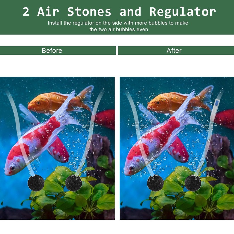 Lewisia 8W Solar Air Pump Kit with Air Hose and