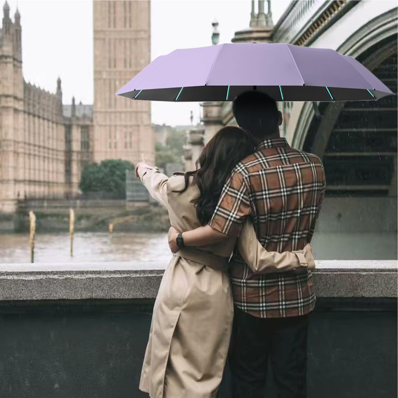 Wydexint Umbrella, Automatic Umbrella, Automatic Open and Close, Durable &