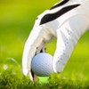 Zivisk Golf Tees Mixed Size Plastic Castle Tees 120 Count