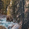 Hajmsug Forest Bear Shower Curtain, Misty Mountains Wildlife Farm Rustic