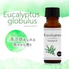 Natural 100% Eucalyptus Globulus Oil 20ml Aroma Oil Eucalyptus