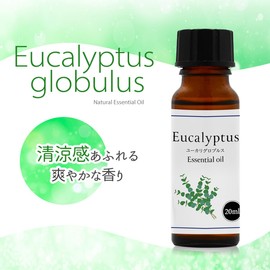 Natural 100% Eucalyptus Globulus Oil 20ml Aroma Oil Eucalyptus