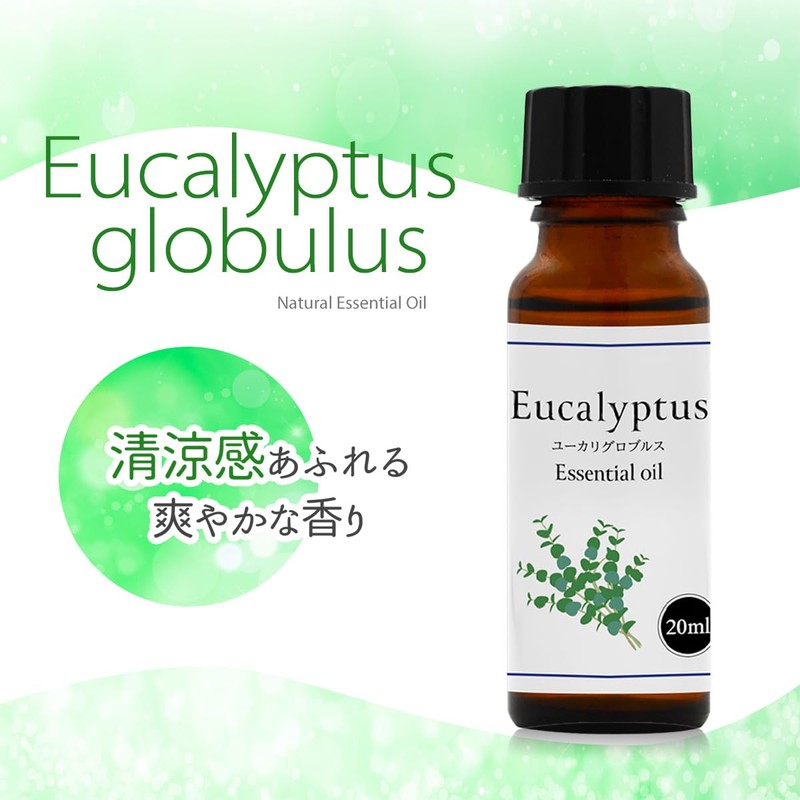 Natural 100% Eucalyptus Globulus Oil 20ml Aroma Oil Eucalyptus