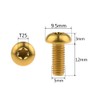 Dingtai M5x12mm Titanium Bolt Torx for Bicycle Bottle Cage 4pcs