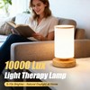 Qiuxunies Light Therapy Lamp 10000 Lux, Sunlight Lamp with Remote