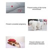 2pcs Soft Breathable Dog Physiological Pants Adjustable Dog Pet Underwear