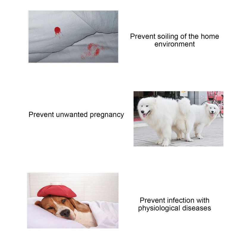 2pcs Soft Breathable Dog Physiological Pants Adjustable Dog Pet Underwear