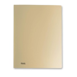 Favorit Display Book Metal 60 Pockets 22 x 30 Gold Metallic