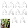 10PCS Monstera Grapple, Monstera Leaf Plant Support, Turtle Shell Bamboo