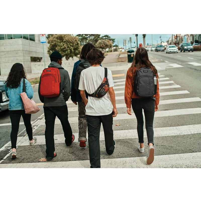 Dakine Classic Hip Pack, Unisex Adults’ Belt Bag, grey