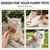 Natural Wood Cat Slicker Brush for Long & Short Haired