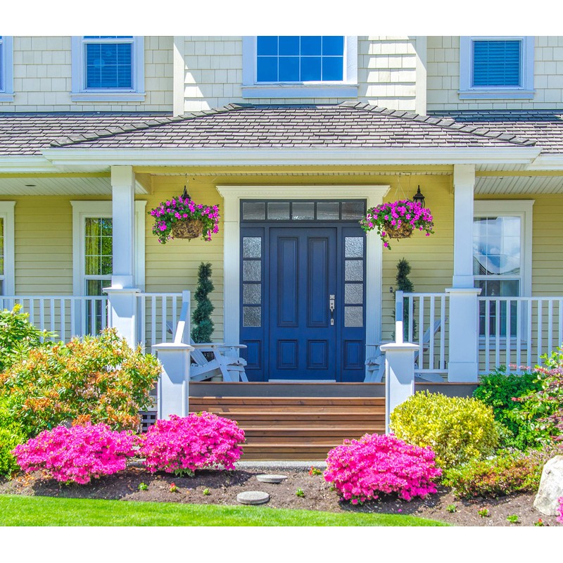 Modern Masters 275270 Front Door Paint, Quart, Satin Calm