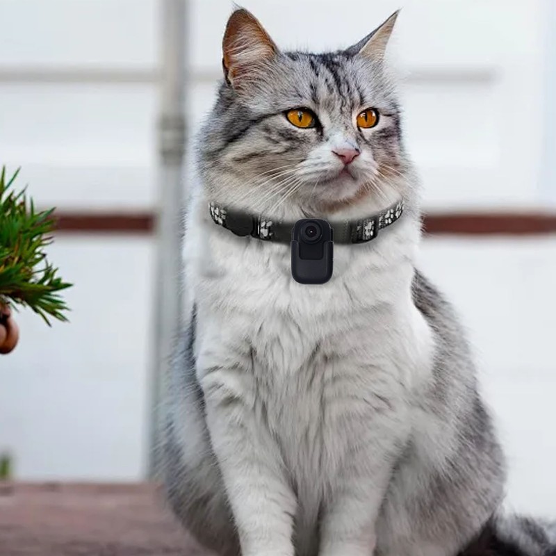 4K Cat Collar Camera IPS Touch Screen HD WiFi Pet