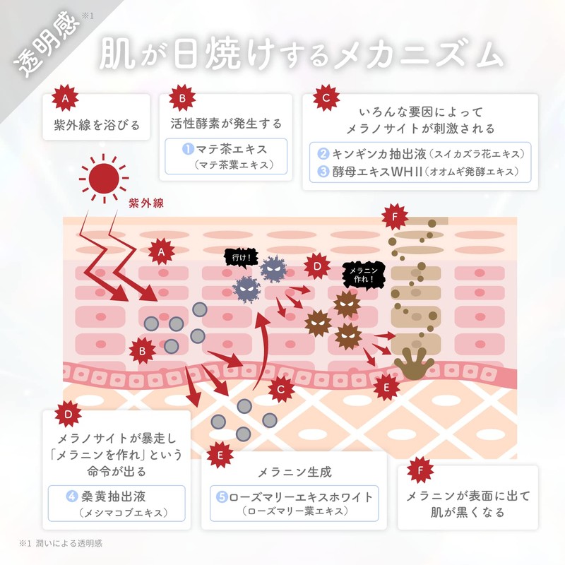 Shironosakura Hand Body Serum Sun Soothing Hand Cream 30ml Kinginka