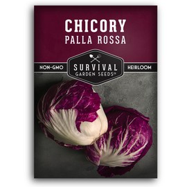Palla Rossa Chicory Seed for Planting - 1 Packet with Instructions to Plant & Grow Red Radicchio in Your Home Vegetable Garden - Non-GMO Heirloom Variety Vegetable Seeds - Survival Garden Seeds