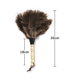 Wooden Handle Ostrich Duster 30cm