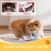 Cats and Dogs decompress from hi Toys Environmental Protection Material