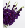 IPOPU 10 PCS Gladiolus Artificial Flowers 30.3 in Gladiolus Flowers