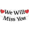 We Will Miss You Banner Glitter No DIY 11.5 ft