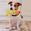 Tasmegol Yellow Calming Duck Toy for Dogs Plush Mellow Puppy