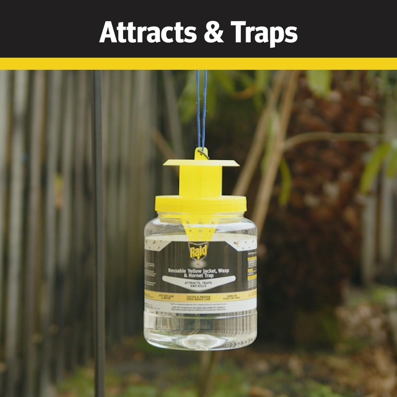 Raid Yellow Jacket, Wasp & Hornet Trap, 1 Count, Reusable,