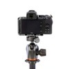 3 Legged Thing Zayla Camera L-Bracket - Arca Swiss Compatible