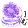 LED Strips