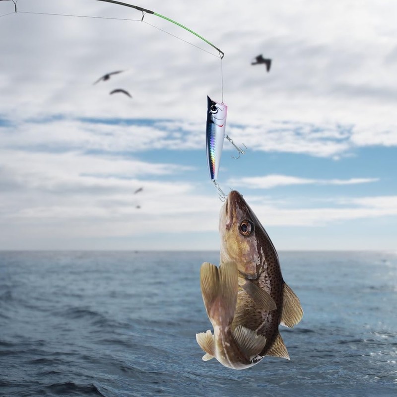 Saltwater Fishing Lures, Artificial Lures for Fishing, Surf Fishing, Floating
