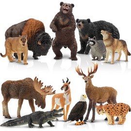 Toymany - Juego de 12 cifras de animales del bosque de América del Norte, juego de animales de la selva realista, incluye mapache, lince, lobo, oso, águila, juguete educativo, regalo de Navidad para
