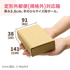 Earth Cardboard ID0185 Non-standard Mail, Thickness 1.6 inches (4 cm), Set of 100, Cardboard, Small, Mini Box