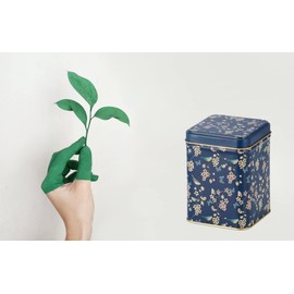 Teemando Nessie Tin 100 g Square with Pull-On Lid 9.8 x 6.5 x 6.5 cm