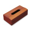 Tatsu Craft Wood Grain Painted Tissue Case, Natural Wood Tissue