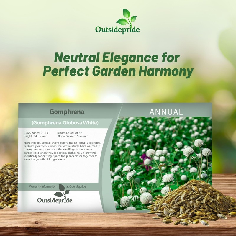 Outsidepride White Gomphrena Seeds - 1000 Pcs Annual, Heat &